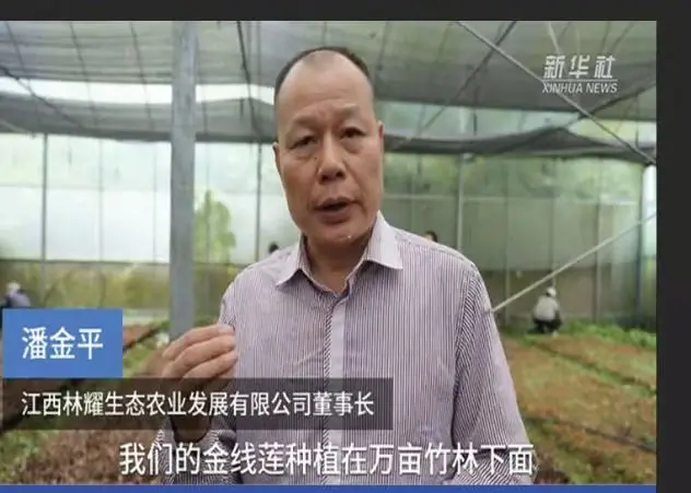 พาน จินผิง ประธานบริษัท Jiangxi Linyao Ecoological Agriculture Development Co., Ltd. ให้สัมภาษณ์โดยสำนักข่าว Xinhua