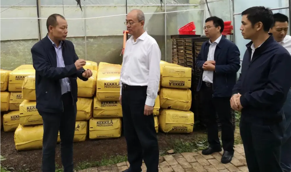 Xie Guanghua เลขาธิการพรรคและผู้อำนวยการฝ่ายบริหารการแพทย์แผนจีนประจำจังหวัดเจียงซี ดำเนินการวิจัยที่ฐานปลูก Anoectochilus